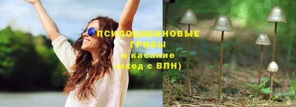 дживик Мегион