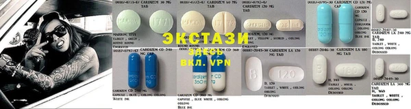 прущие грибы Ачинск