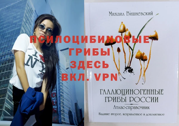 прущие грибы Ачинск