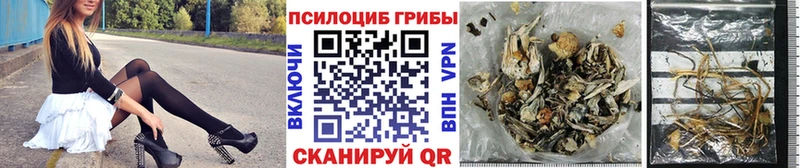 Псилоцибиновые грибы прущие грибы  Евпатория 