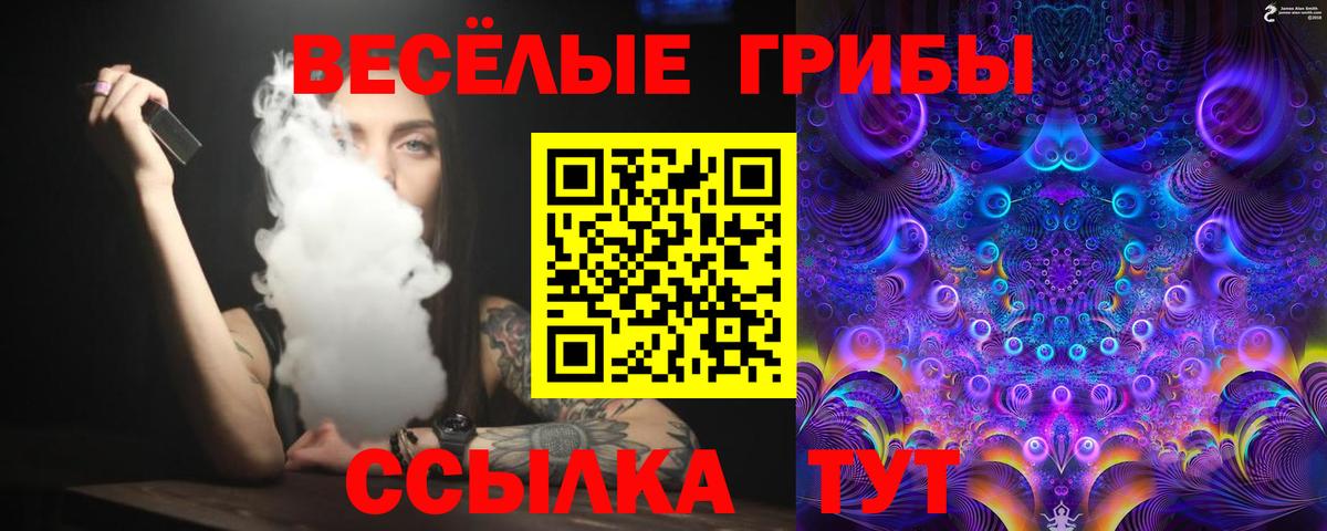 Галлюциногенные грибы MAGIC MUSHROOMS  Вход с VPN  Евпатория  Галлюциногенные грибы MAGIC MUSHROOMS 