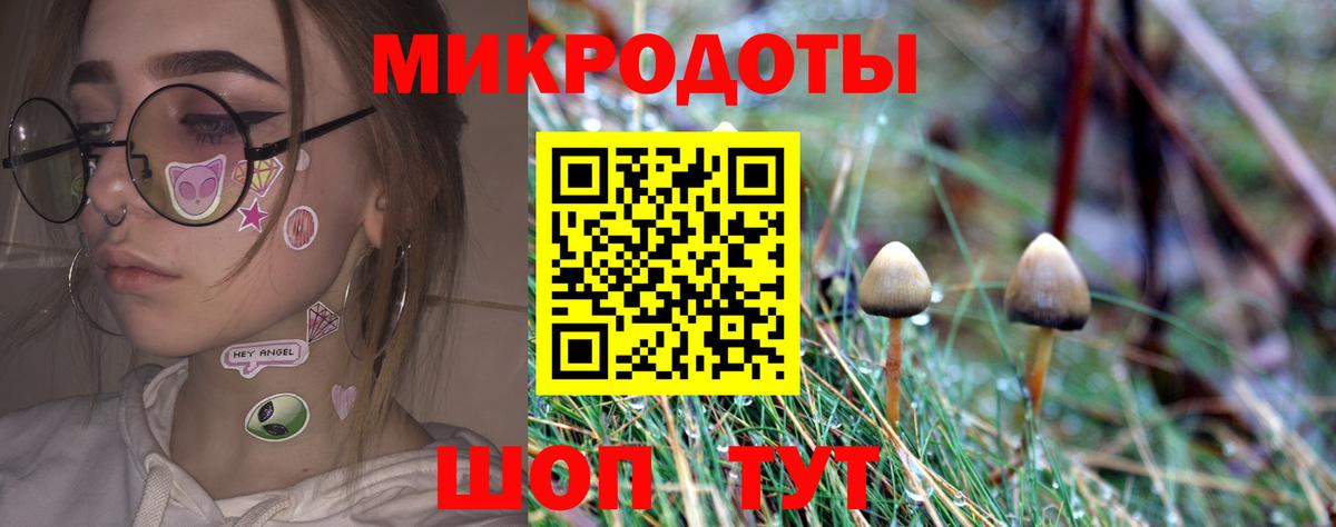 Галлюциногенные грибы прущие грибы Евпатория
